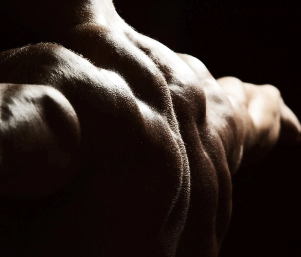 GROWTH SUPPLEMENTS - Imagem ilustrativa costas masculinas musculosas