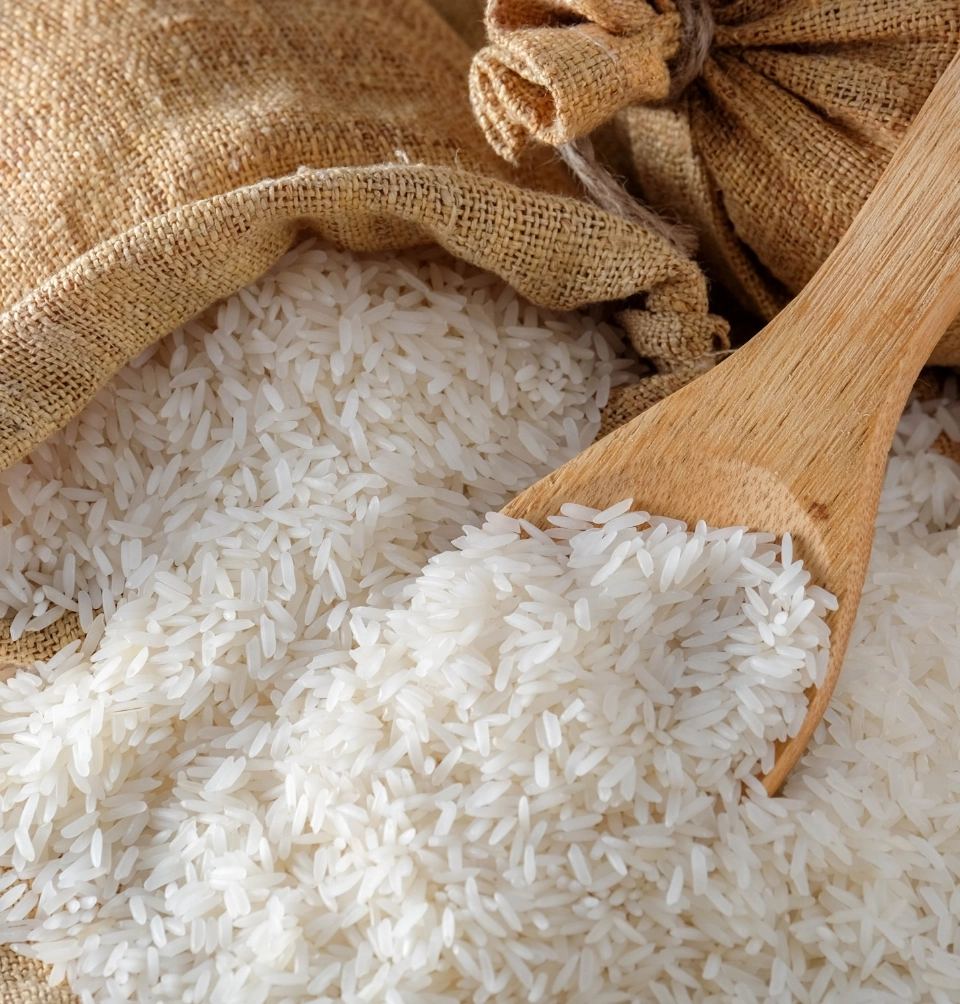 O QUE É A PROTEÍNA
                    DO ARROZ?