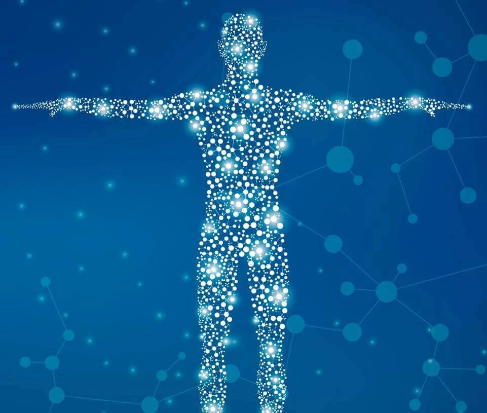 GROWTH SUPPLEMENTS - Imagem ilustrativa Celulas corpo humano