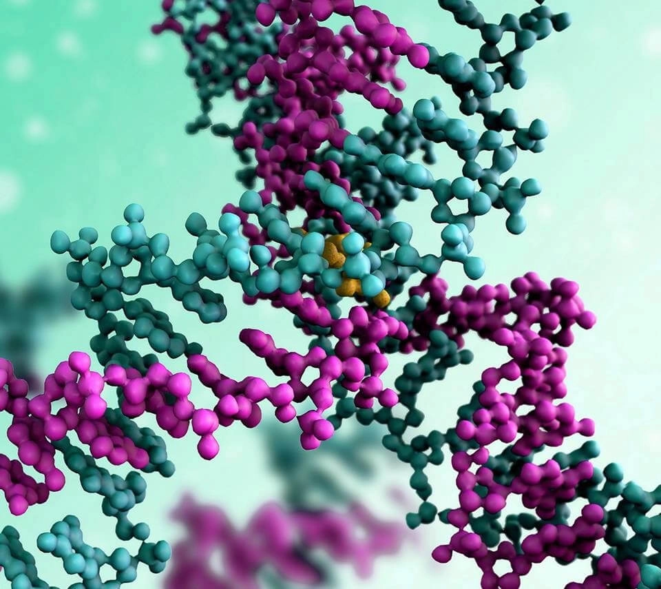 GROWTH SUPPLEMENTS - Imagem ilustrativa Moleculas