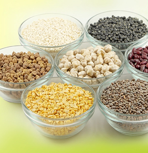 Tigela de blends proteicos