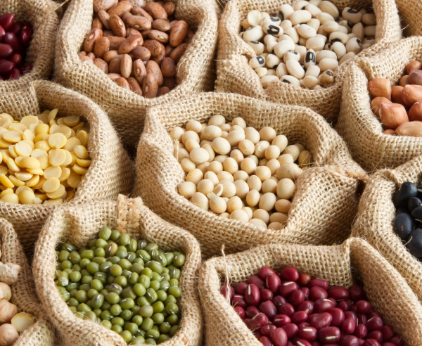 grãos de proteina vegana leguminosas