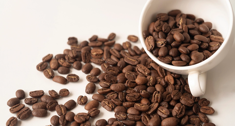 Imagem ilustrativa de grãos de Café