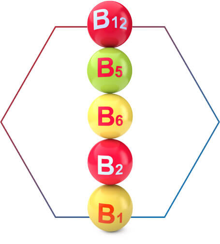 Vitaminas do complexo B