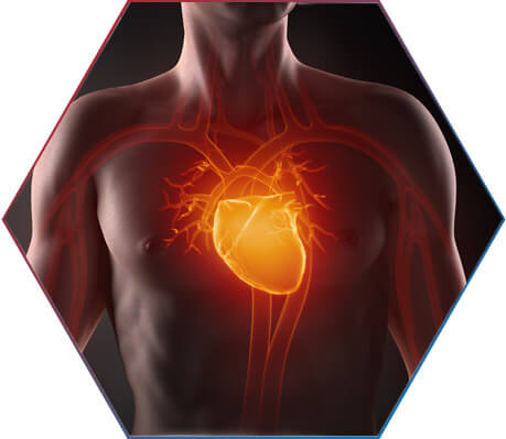 PREVENÇÃO DE DOENÇAS CARDIOVASCULARES