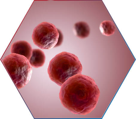 CONTROLE DE TRIGLICÉRIDES