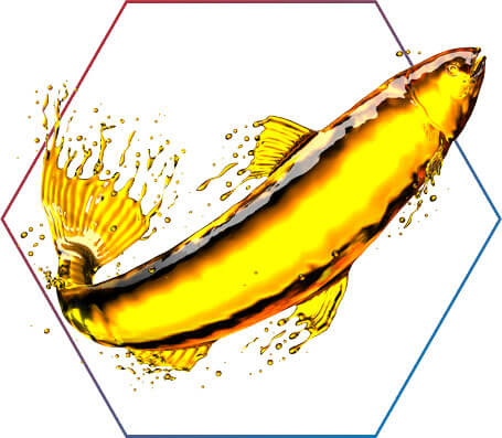 omega-3: Para que serve?