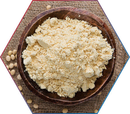 O QUE É PROTEÍNA DE SOJA?
