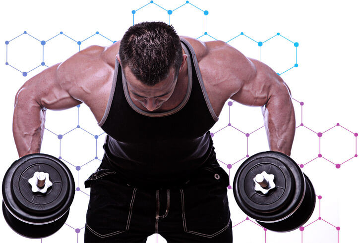 O que é Blend de Proteínas?