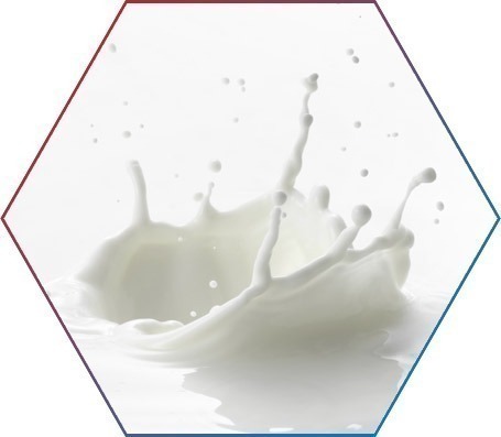 O que são carboidratos?