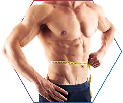 Bulking e Cutting (e-book) - Nutrição Esportiva