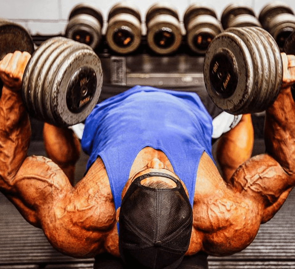 Alfy Polly - Atleta Growth Supplements praticando exercicios fisicos dentro de uma academia