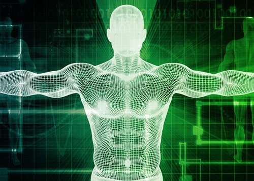 corpo humano