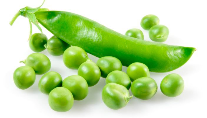 Pea Protein Proteína da Ervilha