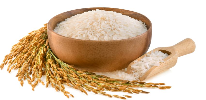 Rice Protein Proteína do Arroz