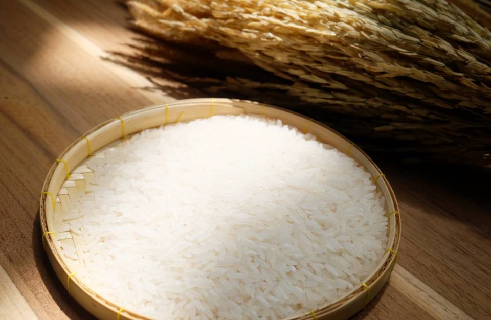 Rice protein: para que serve? Growth Supplements