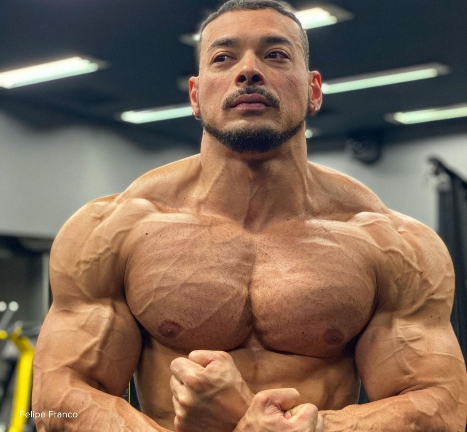 Whey Growth Supplements Recupera Tecido Fibras