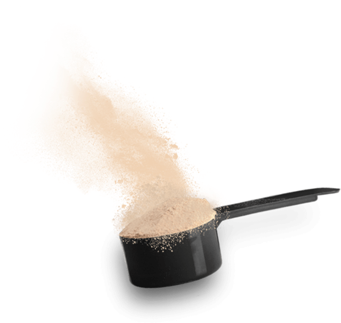 Scoop