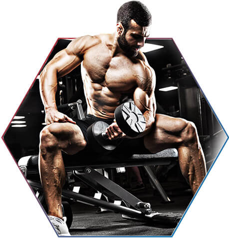 COMO O ZMA AJUDA A GANHAR MASSA MUSCULAR?