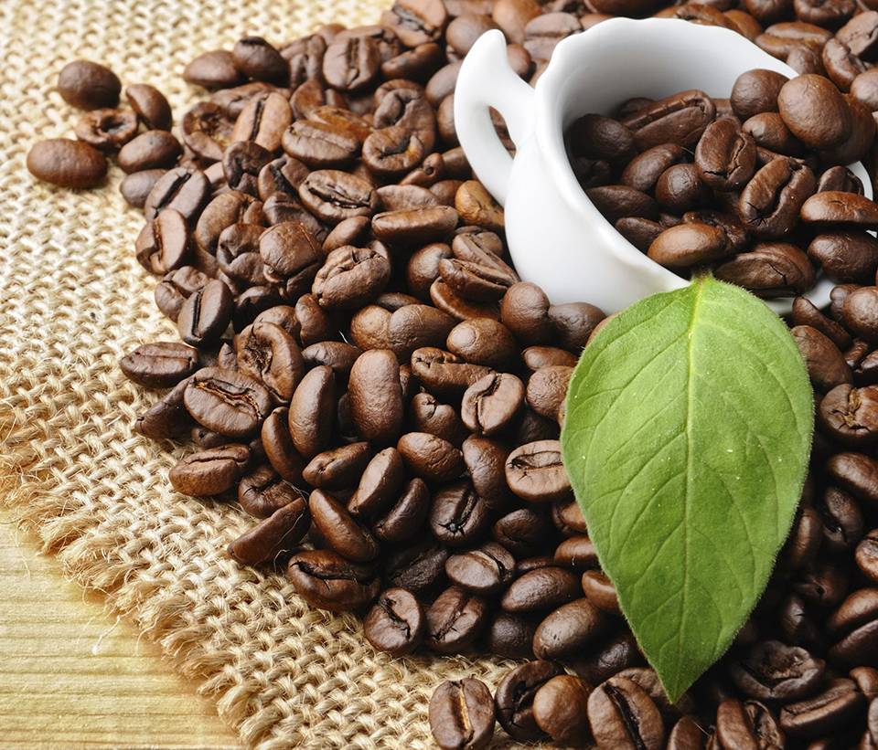 Uma xícara com grãos de café dentro e em volta ao lado de uma folha de árvore verde