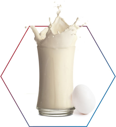 Albumina X Ovo (alimento) comparativo em quantidade de proteínas.
