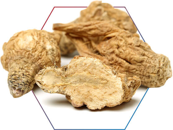 MACA PERUANA NÃO PRECISA DE RECEITA