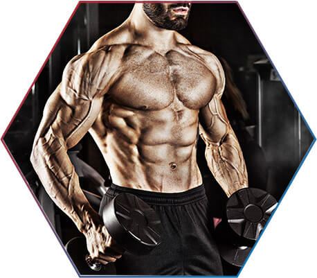 Como o whey protein isolado age no organismo?