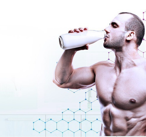 O que é Milk Protein?