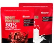 WHEY PROTEIN CONCENTRADO