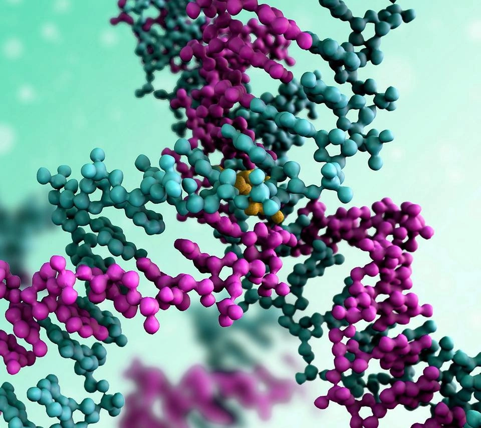Representação de aminoácidos