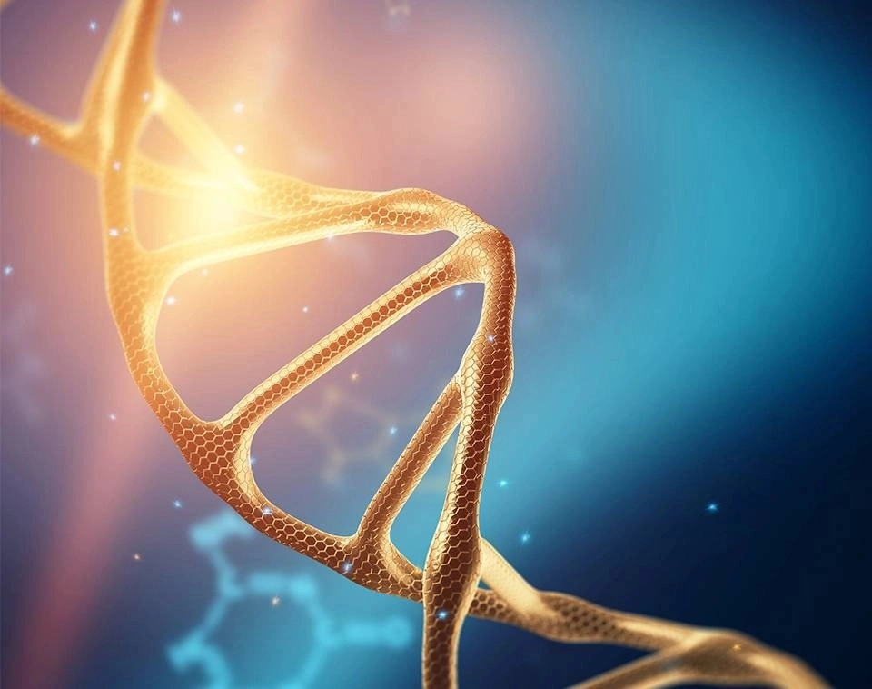 GROWTH SUPPLEMENTS - Imagem ilustrativa Cadeia de DNA