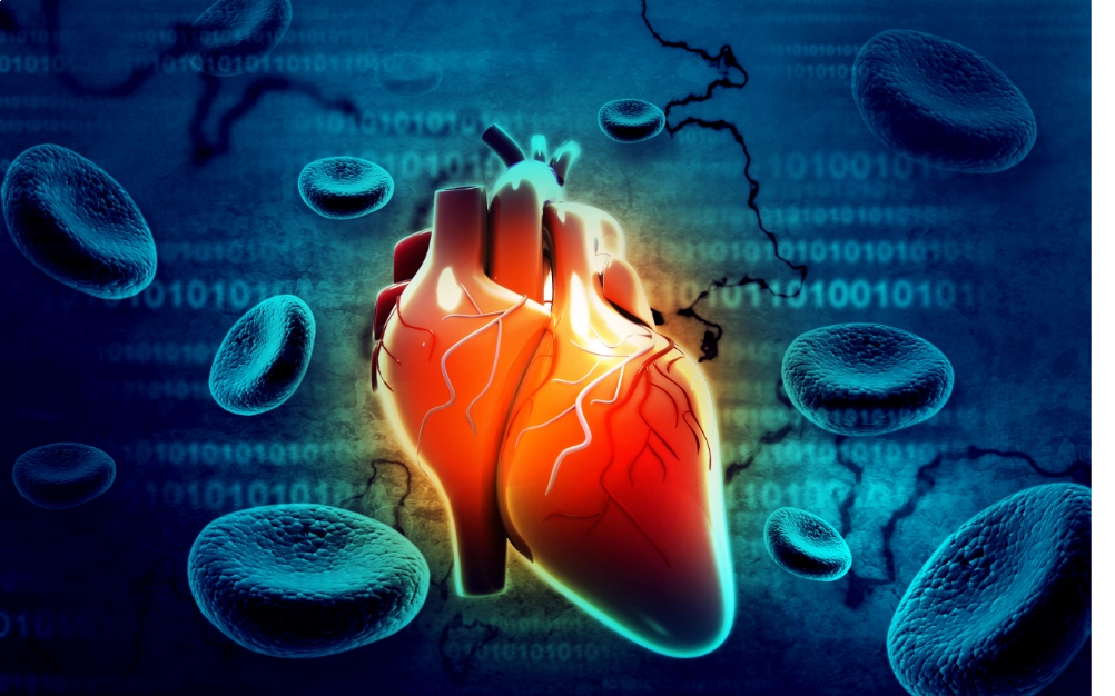 GROWTH SUPPLEMENTS - Imagem ilustrativa coração