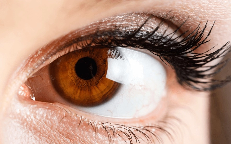 GROWTH SUPPLEMENTS - Imagem ilustrativa olho