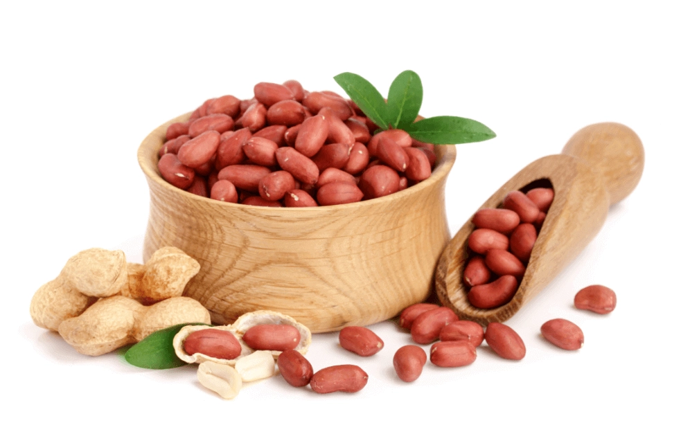 GROWTH SUPPLEMENTS - Imagem ilustrativa Amendiom