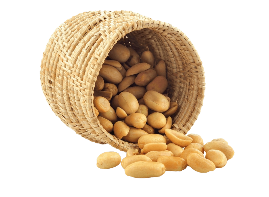 GROWTH SUPPLEMENTS - Imagem ilustrativa Amendiom