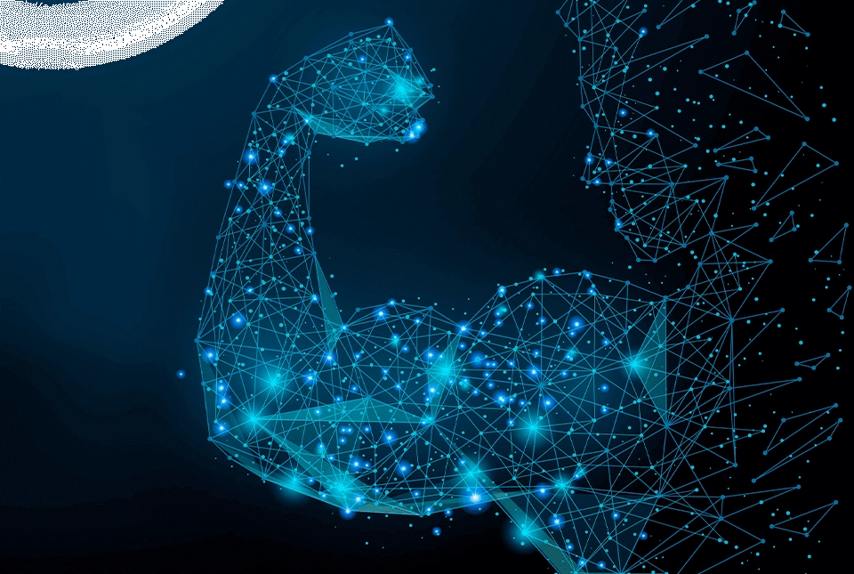 Growth Supplements - L-leucina