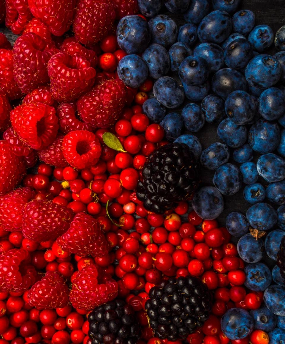 GROWTH SUPPLEMENTS - Imagem ilustrativa frutas vermelhas