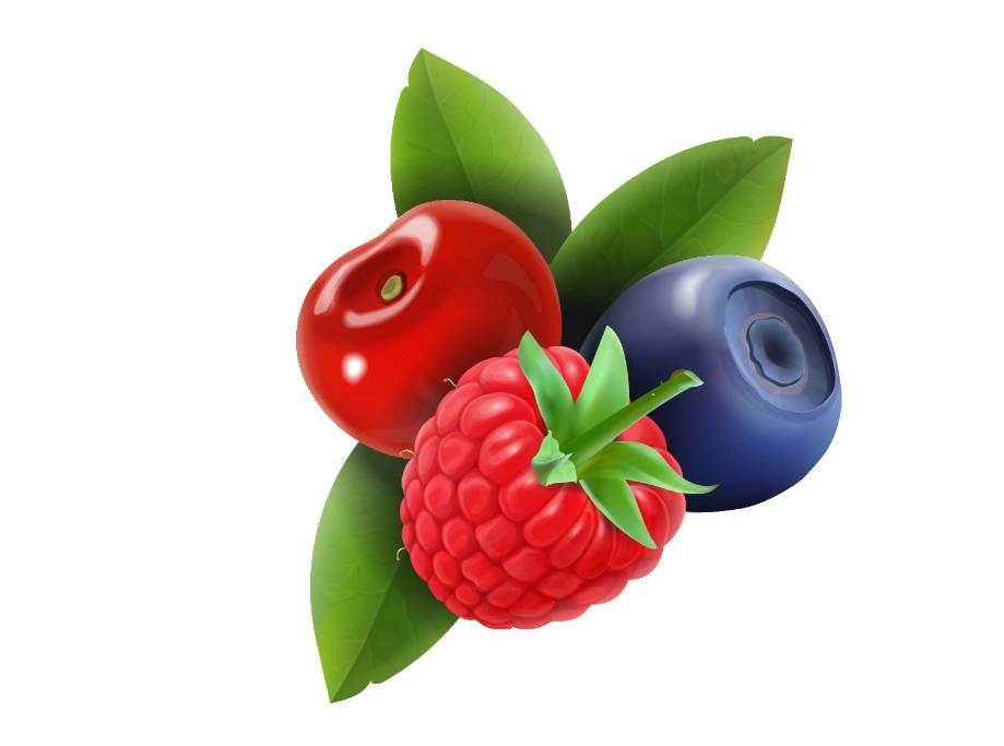 GROWTH SUPPLEMENTS - Imagem ilustrativa frutas vermelhas