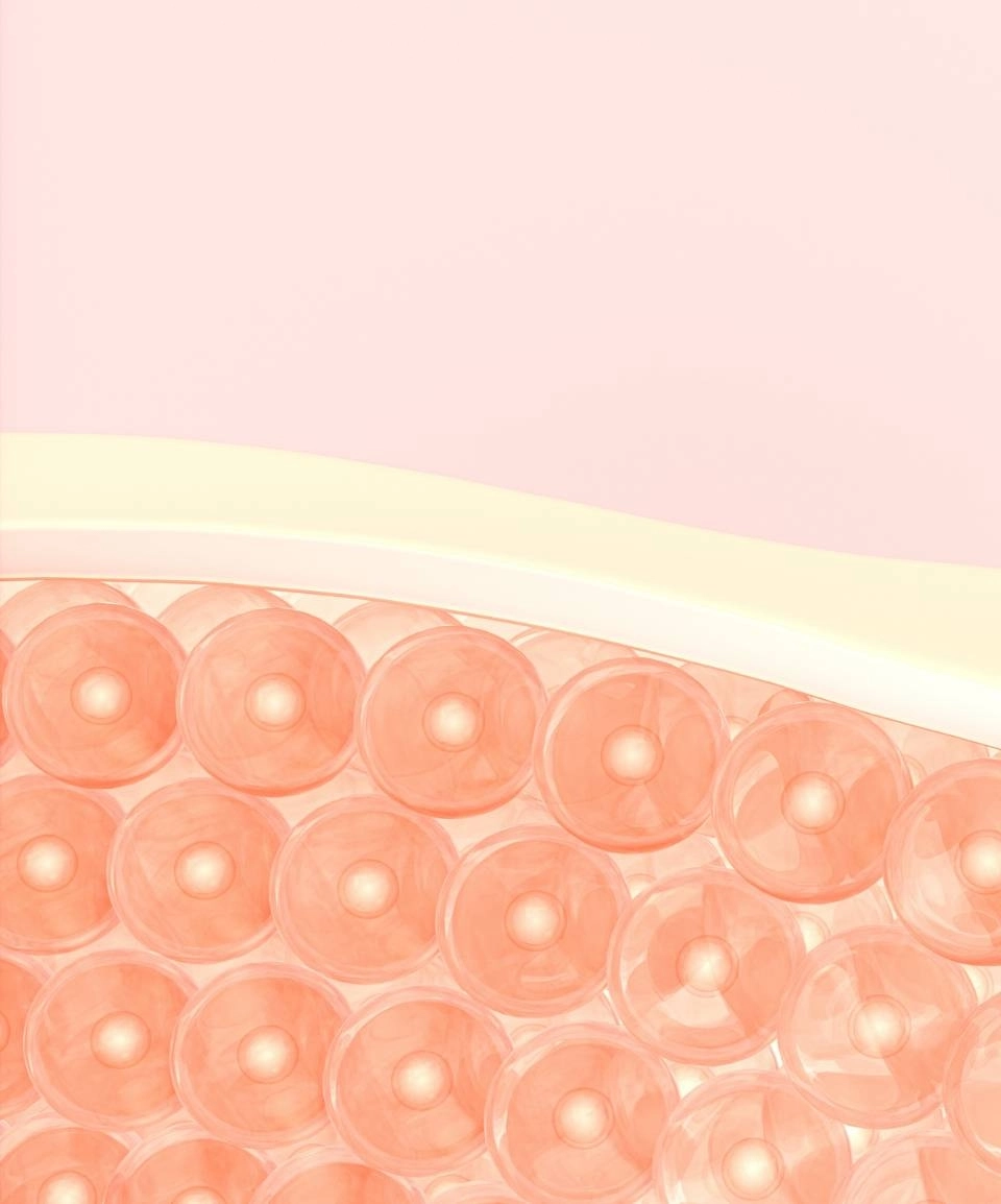 Ilustração de uma das camadas da pele