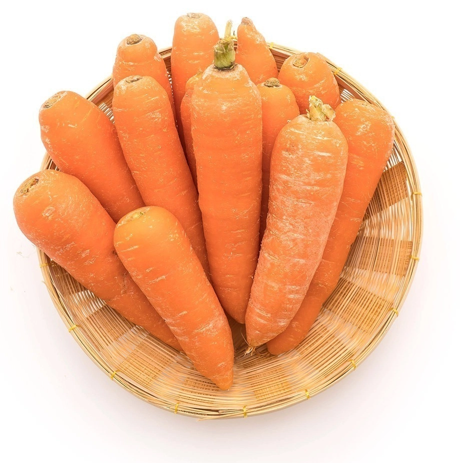 GROWTH SUPPLEMENTS - Imagem ilustrativa cesta com cenouras