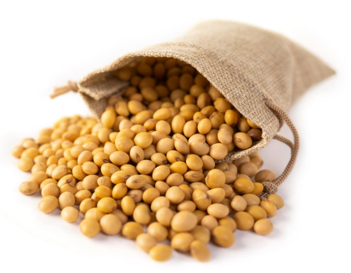 GROWTH SUPPLEMENTS - Saco com soja