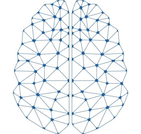 Conheça a fosfatidilserina, um suplemento que pode ajudar a manter a saúde do cérebro e das células
