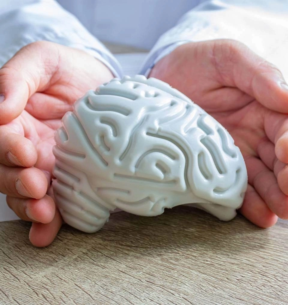 um cerebro entre duas mãos