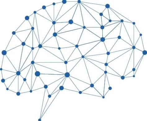 Conheça a fosfatidilserina, um suplemento que pode ajudar a manter a saúde do cérebro e das células