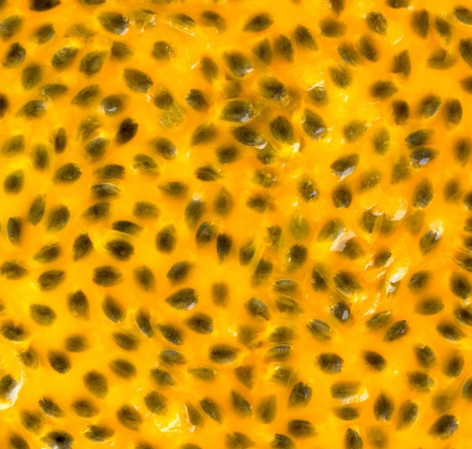 Pattern de maracujá