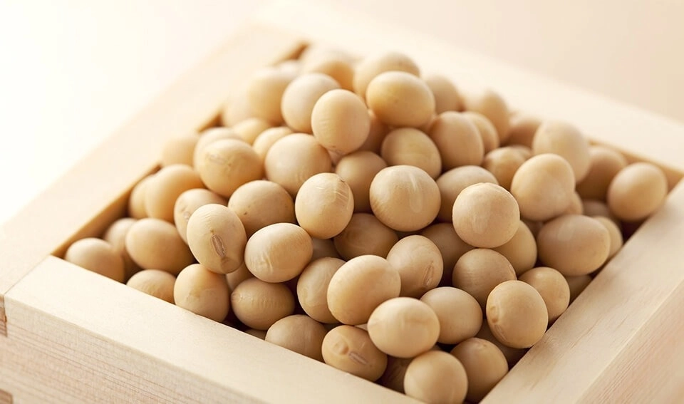 GROWTH SUPPLEMENTS - Soja