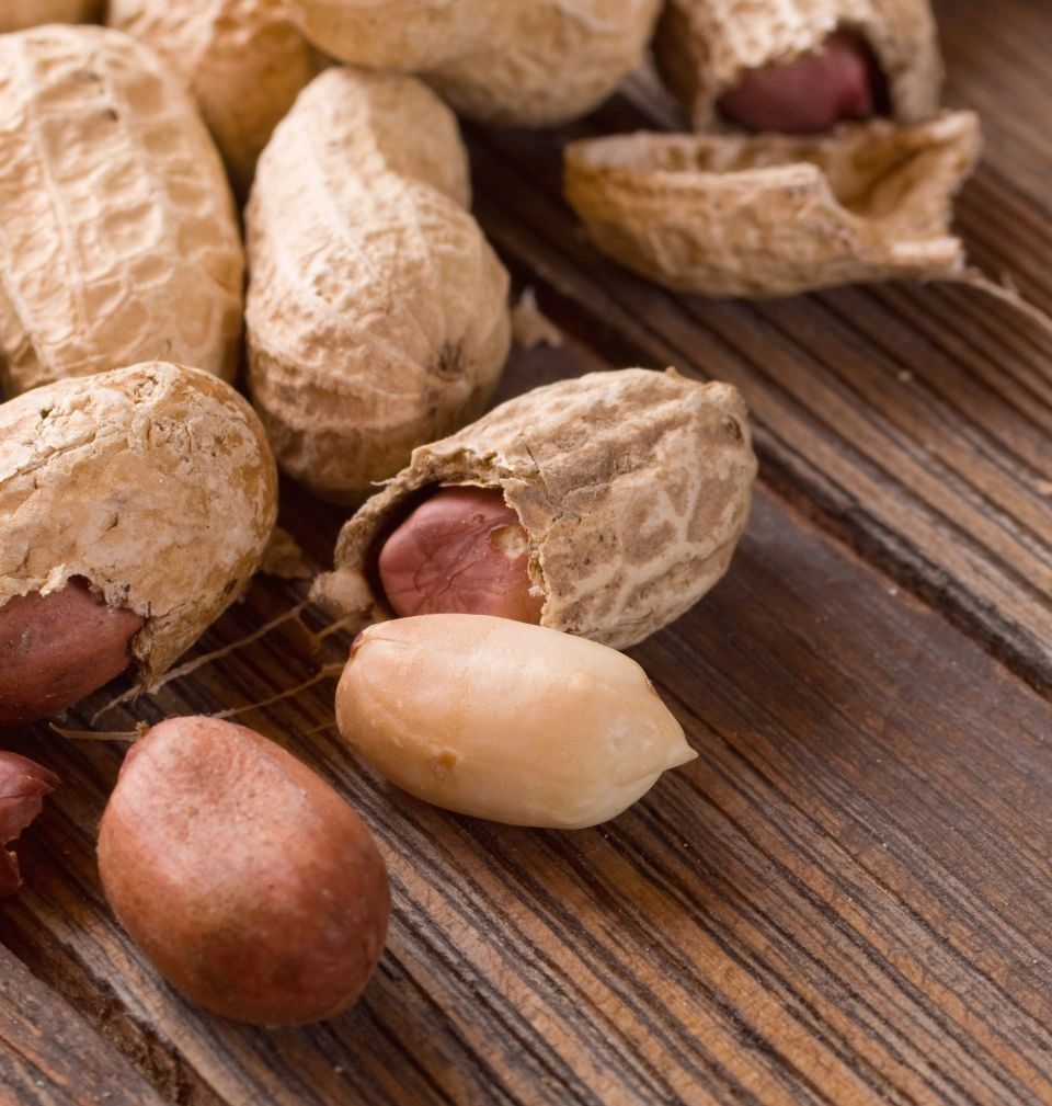 GROWTH SUPPLEMENTS - Amendoins