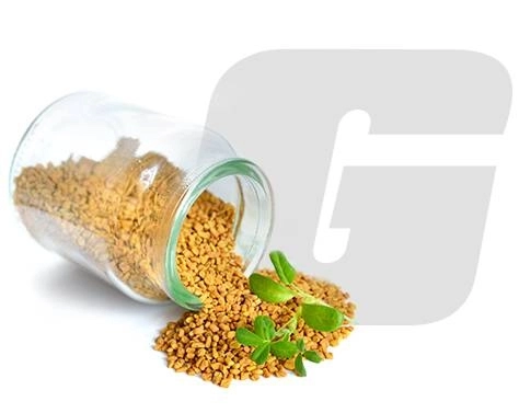 GROWTH SUPPLEMENTS - Imagem ilustrativa logo gsuplementos rosa com cabelo