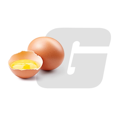 Conheça o Nem (Membrana da Casca do ovo) da Growth Supplements