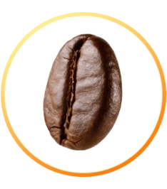 Grão de cafeína